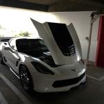 Peterson2023_030 (February 05, 2023)